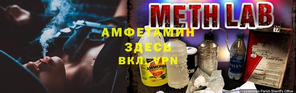 ГАЛЛЮЦИНОГЕННЫЕ ГРИБЫ Нея