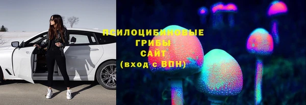ГАЛЛЮЦИНОГЕННЫЕ ГРИБЫ Нея