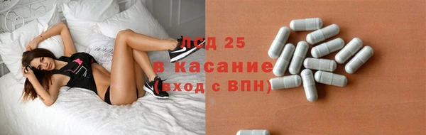 ГАЛЛЮЦИНОГЕННЫЕ ГРИБЫ Нея