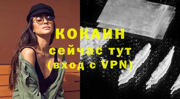 ГАЛЛЮЦИНОГЕННЫЕ ГРИБЫ Нея