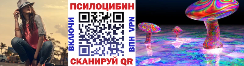 нарко площадка как зайти Ангарск Псилоцибиновые грибы Psilocybe