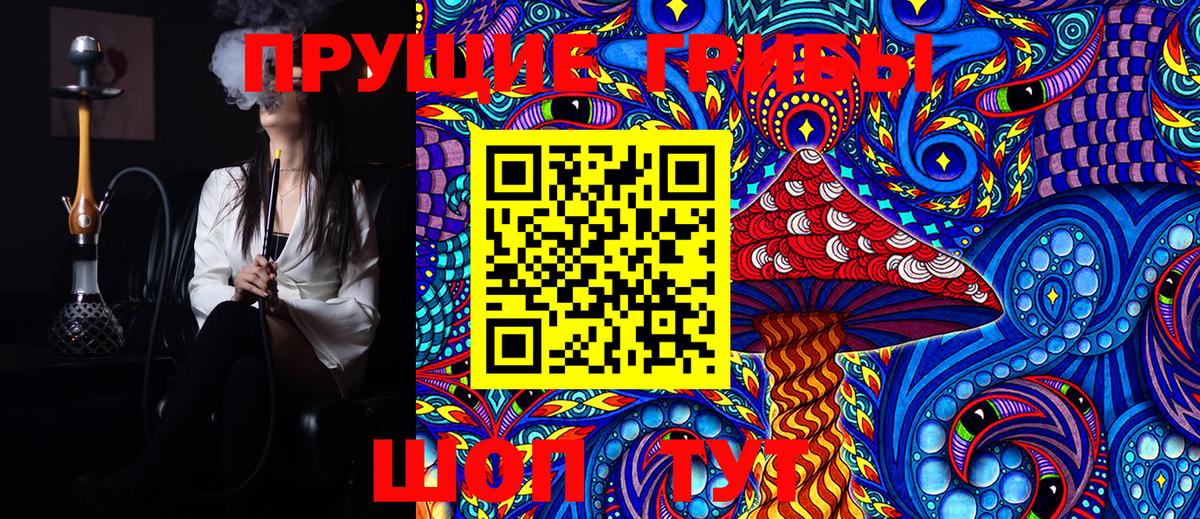 Ангарск  Псилоцибиновые грибы Cubensis  Вход с VPN 