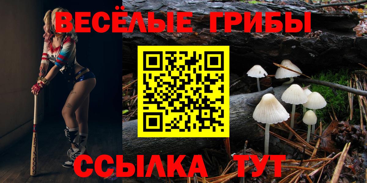 Галлюциногенные грибы Magic Shrooms  Галлюциногенные грибы Cubensis  Вход с VPN  Ангарск 