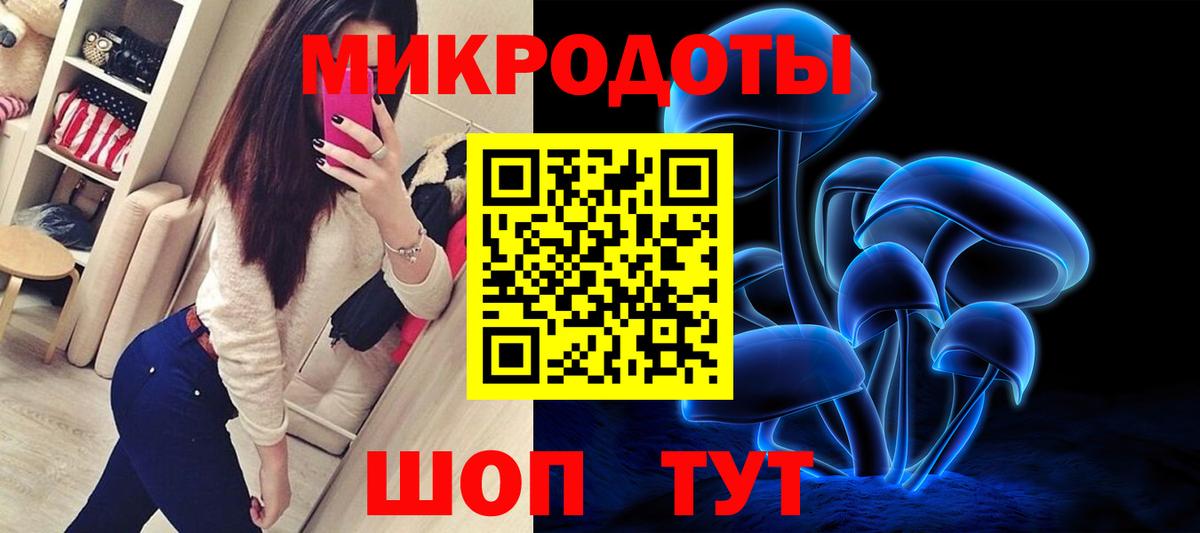 Галлюциногенные грибы Psilocybine cubensis  Ангарск  Галлюциногенные грибы Psilocybe 